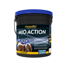 Equine metabolic, Horse metabolic, Pelleted horse, Pelleted equine, Horse digestion, Equine digestion, Horse intestine, Equine intestine, Horse gut health, Equine gut health, Horse nutrition care, Equine nutrition care, Hoof supplements horse, Hoof supplements equine, Healthy coat for horses, Healthy coat for equines, ATP horses, ATP equines, Pre race horses, Complete equine performance products