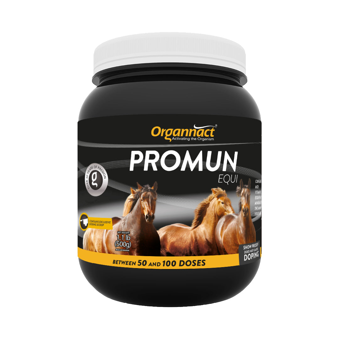 Equine metabolic, Horse metabolic, Pelleted horse, Pelleted equine, Horse digestion, Equine digestion, Horse intestine, Equine intestine, Horse gut health, Equine gut health, Horse nutrition care, Equine nutrition care, Hoof supplements horse, Hoof supplements equine, Healthy coat for horses, Healthy coat for equines, ATP horses, ATP equines, Pre race horses, Complete equine performance products