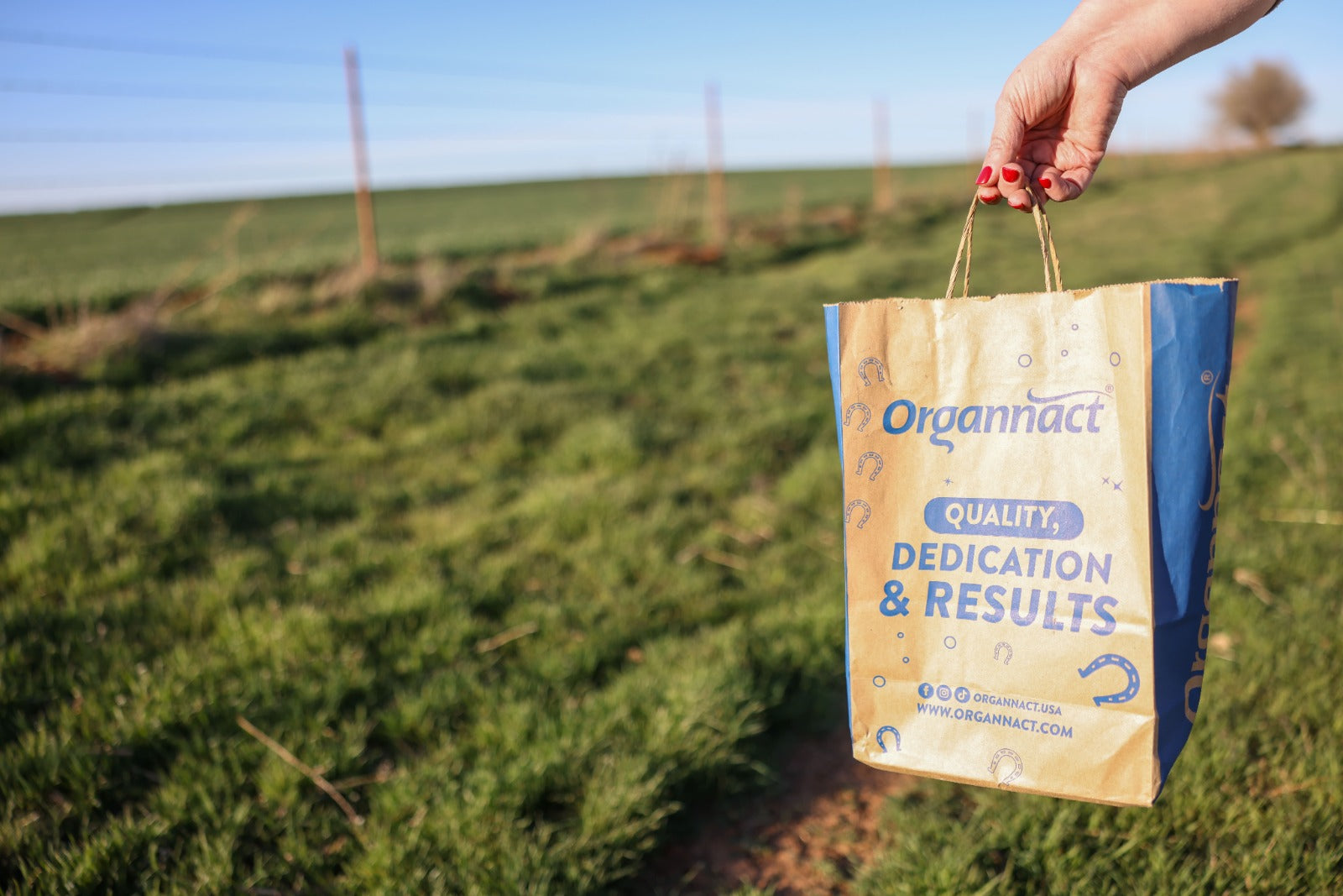 Mares diet, Mare well-being, Mares colostrum, Mares immune system, Mare immunity supplements, Horse immunity supplements, Equine immunity supplements, Stallion supplement, Horse antioxidant supplement, Equine antioxidant supplement, Complete horse performance products, Horse performance supplement, Equine performance supplement, Vitamin E supplementation horse