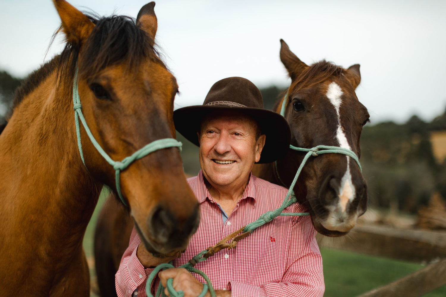 Pre race equines, BCAA equine, BCAA horses, Horse nutrition, Equine nutrition, Weight gain supplements for horses, Weight gain supplements for equines, Foals supplementation, Foal supplement, Supplements for foals, Healthy foal, Newborn foal supplement, Products for newborn foal, Newborn foal care, Foals essential care, Newborn foal, Foal products, Mares nutrition, Nutrition for mares