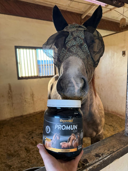 Organnact Promun Equi Horse Supplement