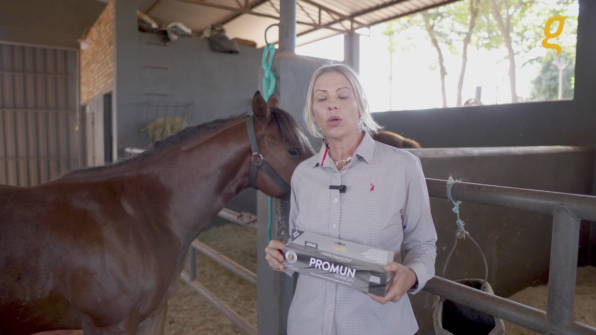 Load video: Equine metabolic, Horse metabolic, Pelleted horse, Pelleted equine, Horse digestion, Equine digestion, Horse intestine, Equine intestine, Horse gut health, Equine gut health, Horse nutrition care, Equine nutrition care, Hoof supplements horse, Hoof supplements equine, Healthy coat for horses, Healthy coat for equines, ATP horses, ATP equines, Pre race horses, Complete equine performance products