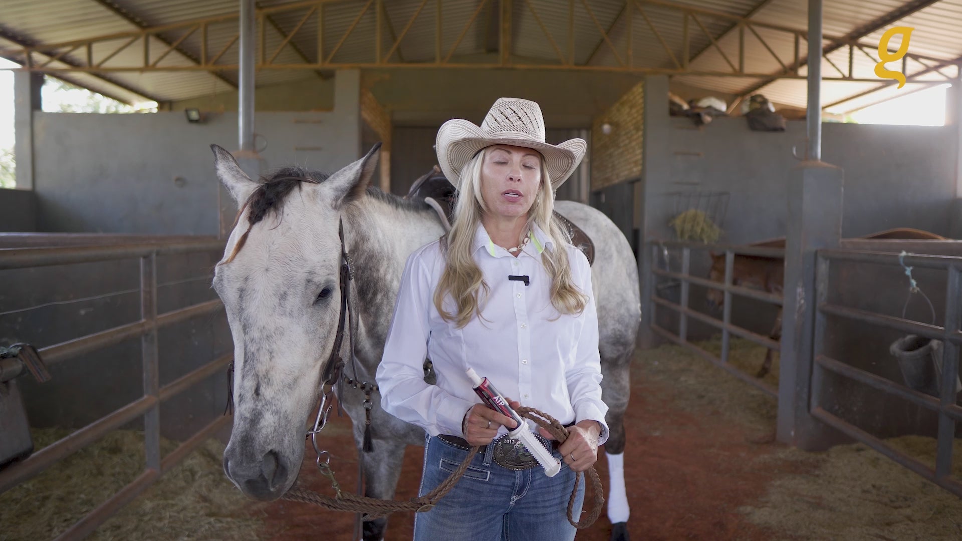 Load video: Pre race equines, BCAA equine, BCAA horses, Horse nutrition, Equine nutrition, Weight gain supplements for horses, Weight gain supplements for equines, Foals supplementation, Foal supplement, Supplements for foals, Healthy foal, Newborn foal supplement, Products for newborn foal, Newborn foal care, Foals essential care, Newborn foal, Foal products, Mares nutrition, Nutrition for mares