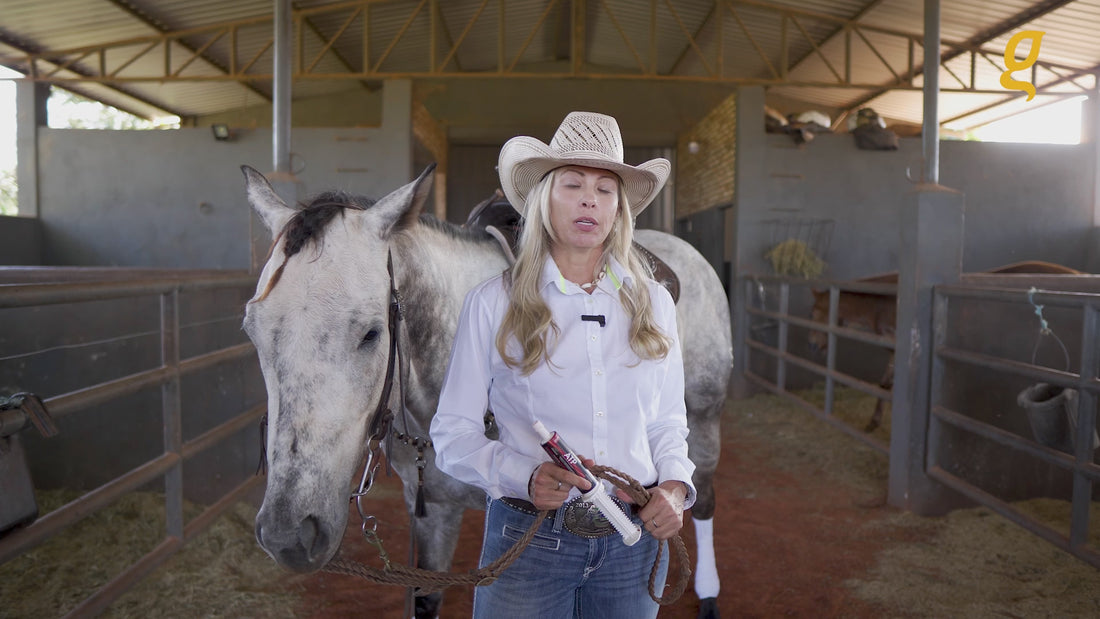 Pre race equines, BCAA equine, BCAA horses, Horse nutrition, Equine nutrition, Weight gain supplements for horses, Weight gain supplements for equines, Foals supplementation, Foal supplement, Supplements for foals, Healthy foal, Newborn foal supplement, Products for newborn foal, Newborn foal care, Foals essential care, Newborn foal, Foal products, Mares nutrition, Nutrition for mares