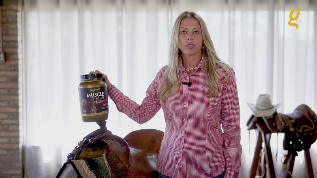 Pre race equines, BCAA equine, BCAA horses, Horse nutrition, Equine nutrition, Weight gain supplements for horses, Weight gain supplements for equines, Foals supplementation, Foal supplement, Supplements for foals, Healthy foal, Newborn foal supplement, Products for newborn foal, Newborn foal care, Foals essential care, Newborn foal, Foal products, Mares nutrition, Nutrition for mares