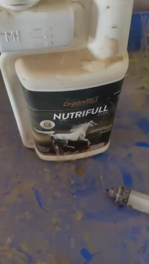 Horse supplements, Equine supplements, Horse supplement, Equine supplement, Performance horse, Performance equine, Performance horse training, Performance equine training, Calm supplement for horses, Calm supplement for equines, Best supplement for horses, Best supplement for equines, Energy supplement for horses, Energy supplement for equines, Supplement for horses muscles, Supplement for equines muscles, Horses muscle mass, Equine muscle mass, Horse muscle gain