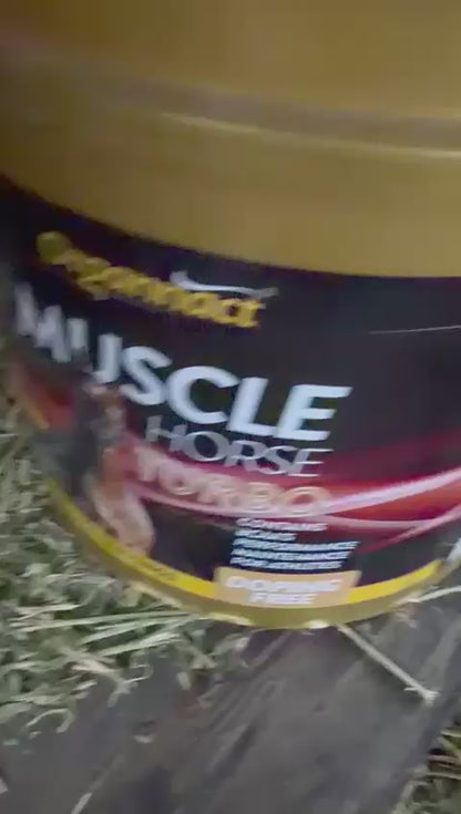 Organnact Muscle Horse Turbo Supplement