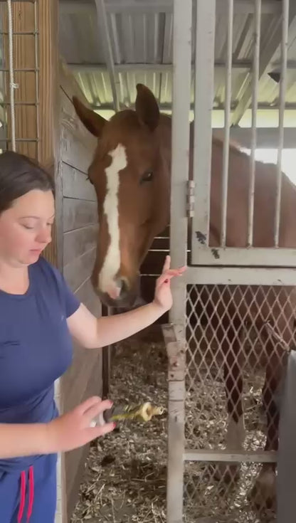 Organnact Lactobac Equi Horse Supplement