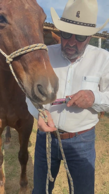 Organnact Gastroequi Booster Horse Supplement