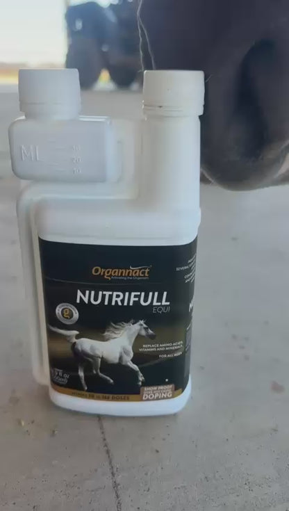 Organnact Nutrifull Equi Horse Supplement