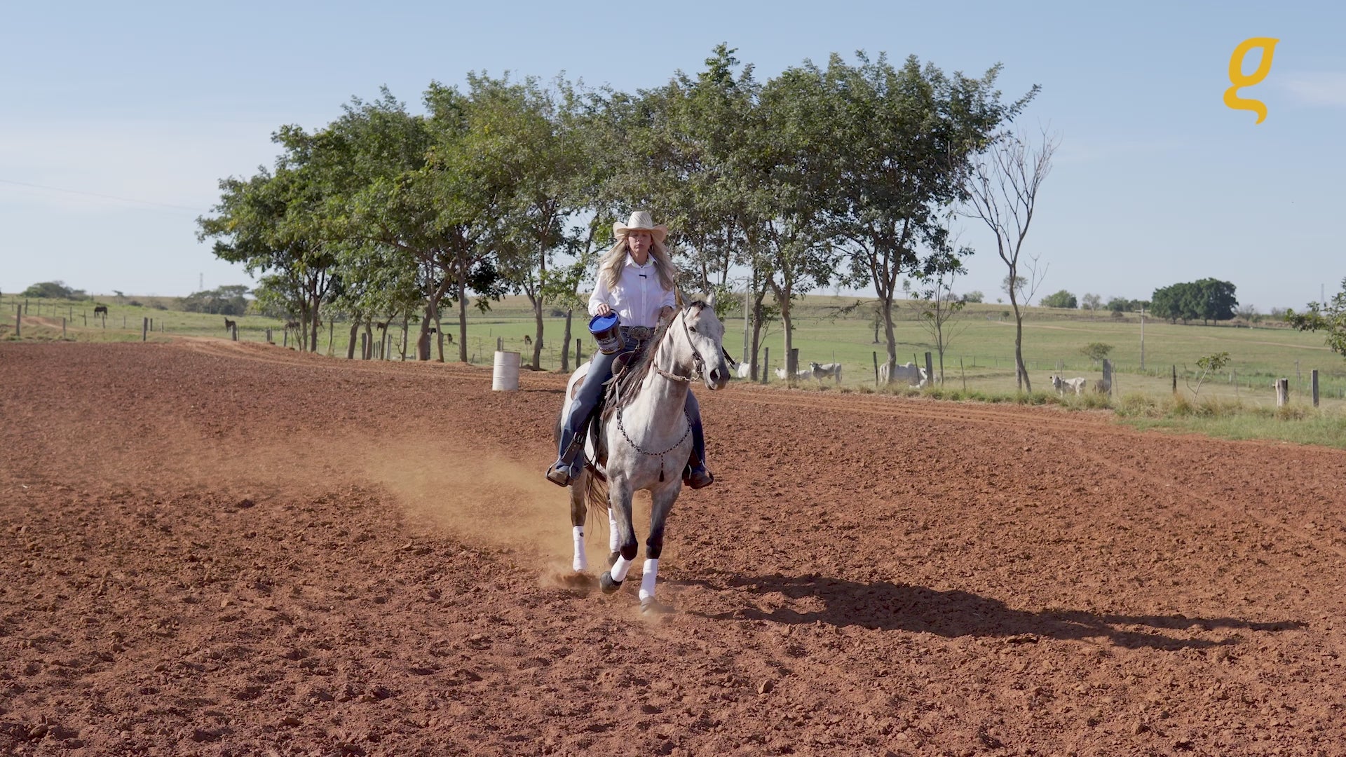 Load video: Equine metabolic, Horse metabolic, Pelleted horse, Pelleted equine, Horse digestion, Equine digestion, Horse intestine, Equine intestine, Horse gut health, Equine gut health, Horse nutrition care, Equine nutrition care, Hoof supplements horse, Hoof supplements equine, Healthy coat for horses, Healthy coat for equines, ATP horses, ATP equines, Pre race horses, Complete equine performance products