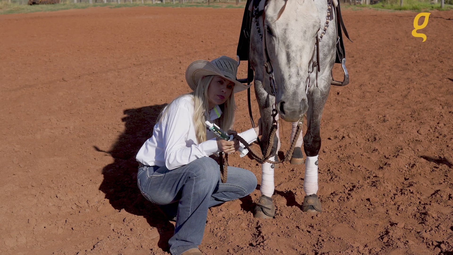 Load video: Pre race equines, BCAA equine, BCAA horses, Horse nutrition, Equine nutrition, Weight gain supplements for horses, Weight gain supplements for equines, Foals supplementation, Foal supplement, Supplements for foals, Healthy foal, Newborn foal supplement, Products for newborn foal, Newborn foal care, Foals essential care, Newborn foal, Foal products, Mares nutrition, Nutrition for mares