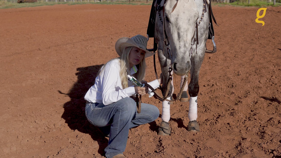 Load video: Pre race equines, BCAA equine, BCAA horses, Horse nutrition, Equine nutrition, Weight gain supplements for horses, Weight gain supplements for equines, Foals supplementation, Foal supplement, Supplements for foals, Healthy foal, Newborn foal supplement, Products for newborn foal, Newborn foal care, Foals essential care, Newborn foal, Foal products, Mares nutrition, Nutrition for mares