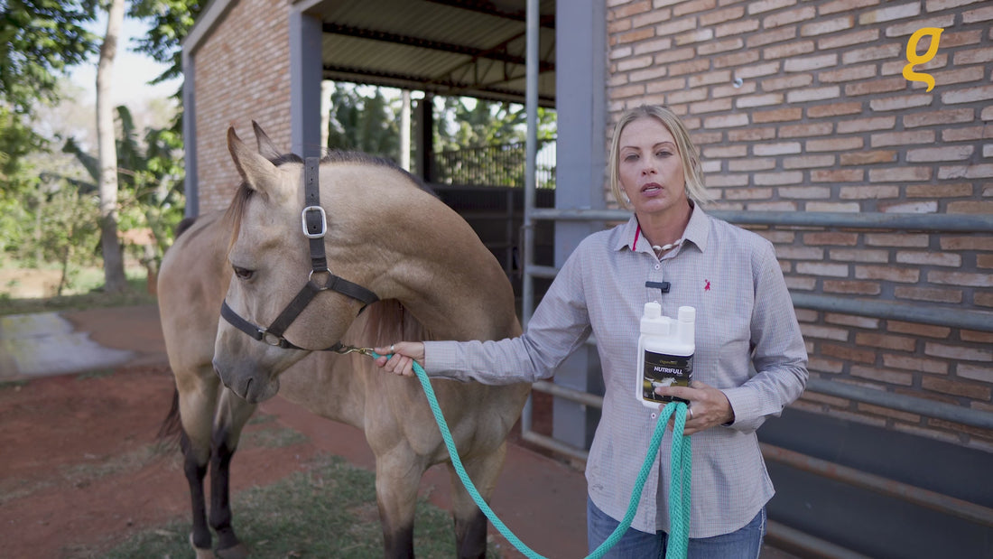 Load video: Pre race equines, BCAA equine, BCAA horses, Horse nutrition, Equine nutrition, Weight gain supplements for horses, Weight gain supplements for equines, Foals supplementation, Foal supplement, Supplements for foals, Healthy foal, Newborn foal supplement, Products for newborn foal, Newborn foal care, Foals essential care, Newborn foal, Foal products, Mares nutrition, Nutrition for mares