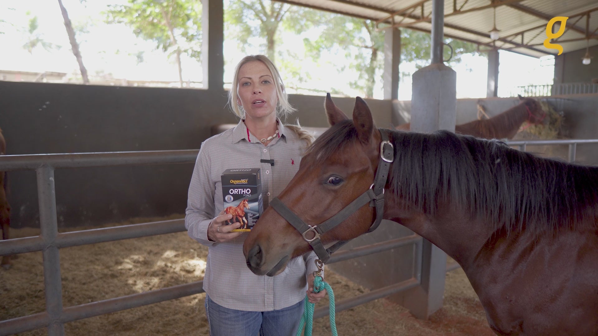 Load video: Equine metabolic, Horse metabolic, Pelleted horse, Pelleted equine, Horse digestion, Equine digestion, Horse intestine, Equine intestine, Horse gut health, Equine gut health, Horse nutrition care, Equine nutrition care, Hoof supplements horse, Hoof supplements equine, Healthy coat for horses, Healthy coat for equines, ATP horses, ATP equines, Pre race horses, Complete equine performance products