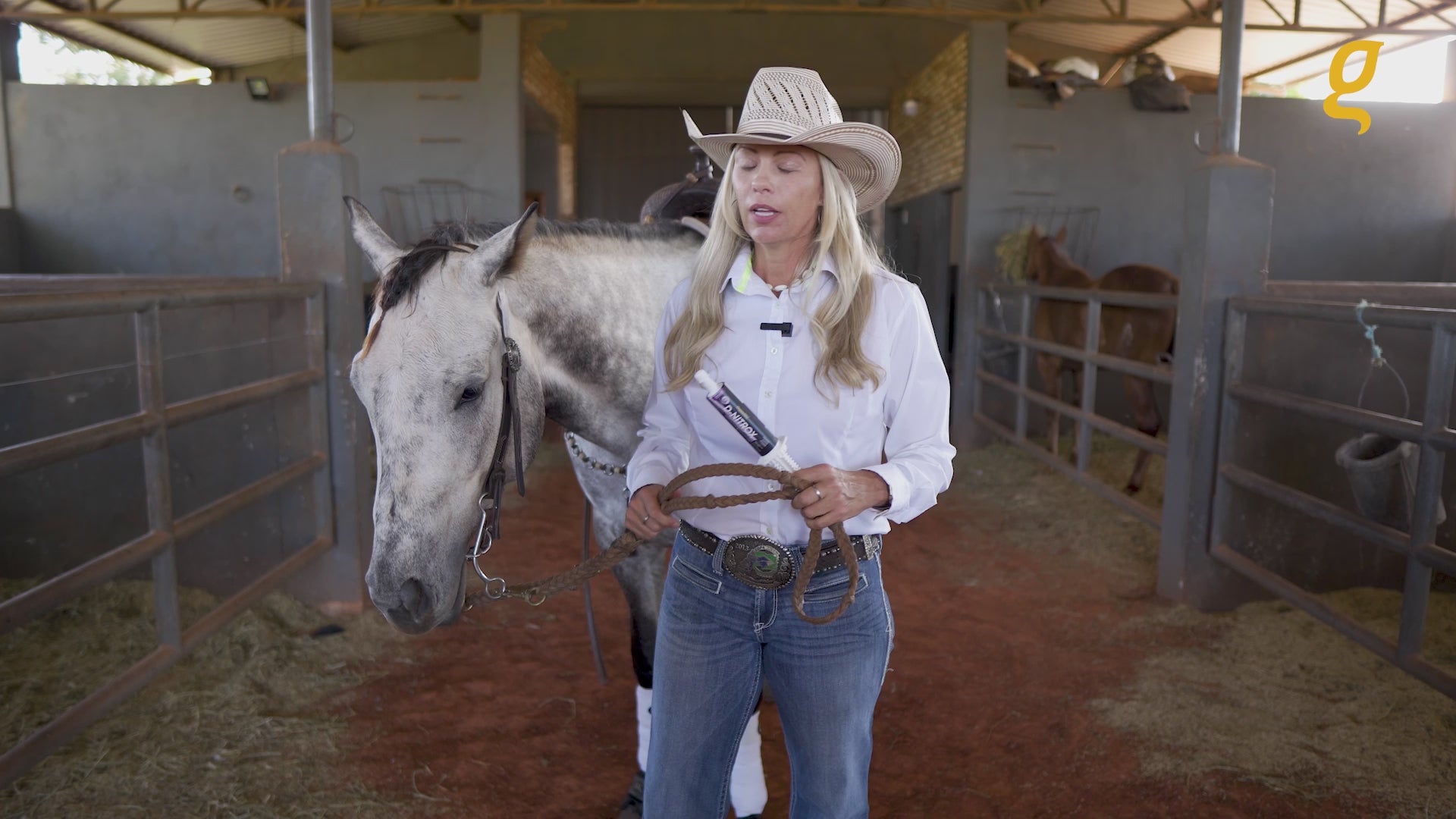 Load video: Pre race equines, BCAA equine, BCAA horses, Horse nutrition, Equine nutrition, Weight gain supplements for horses, Weight gain supplements for equines, Foals supplementation, Foal supplement, Supplements for foals, Healthy foal, Newborn foal supplement, Products for newborn foal, Newborn foal care, Foals essential care, Newborn foal, Foal products, Mares nutrition, Nutrition for mares