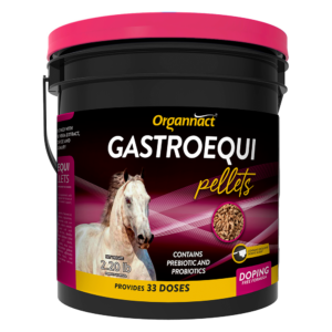 Gastro Equi Pellets