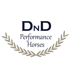 DnD Performance Horses