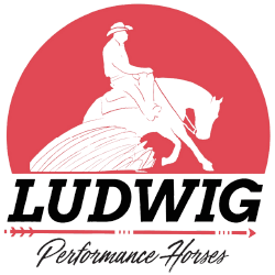 Ludwig Performance Horses