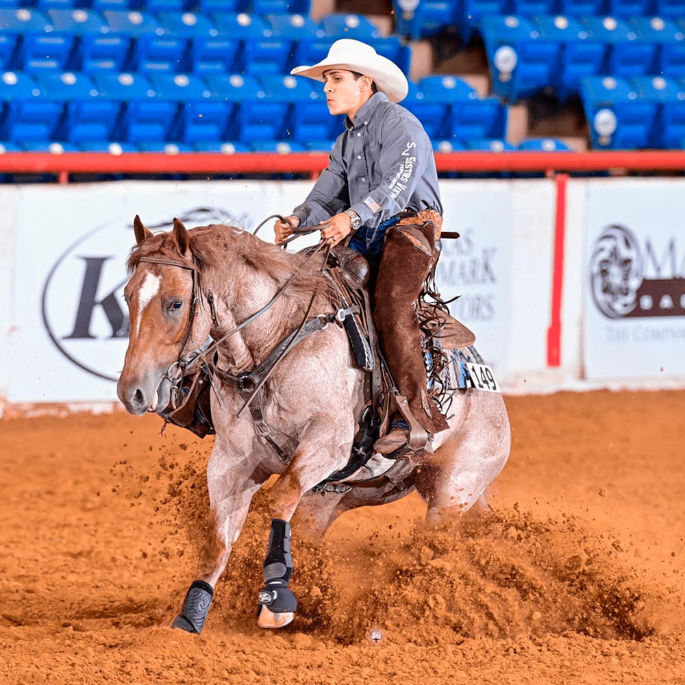 Organnact Athlete Matheus Bento Cow Horse